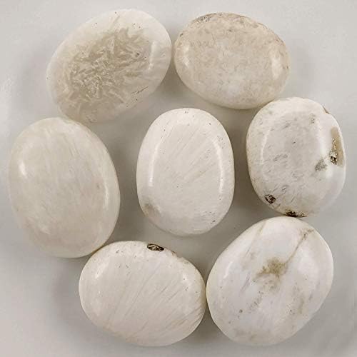 Crystal палмово камък Сколецит - Полиран Скъпоценен камък | Камък сколецит (Лечебни кристали и камъни)