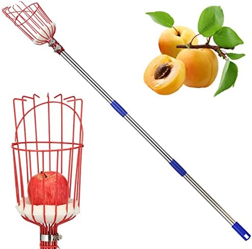 Инструмент за събиране на плодове, Разтегателен полюс е с дължина 5,5 метра с коша за събиране на плодове, Инструмент