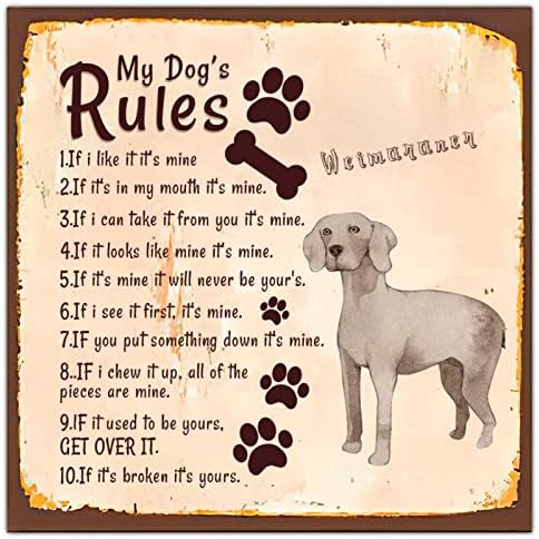 Alioyoit Правила на Кучето ми е Забавно Куче-Метална Табела с Надпис Поздрав Кучета Ретро Метален Принт Селски Домашно